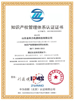 體系證書與知識產(chǎn)權(quán)服務(wù) 企業(yè)合規(guī)與創(chuàng)新的雙重保障