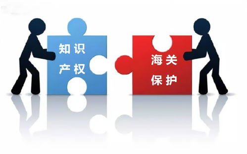 知識產(chǎn)權(quán)服務(wù) 專業(yè)護航創(chuàng)新的核心特點解析